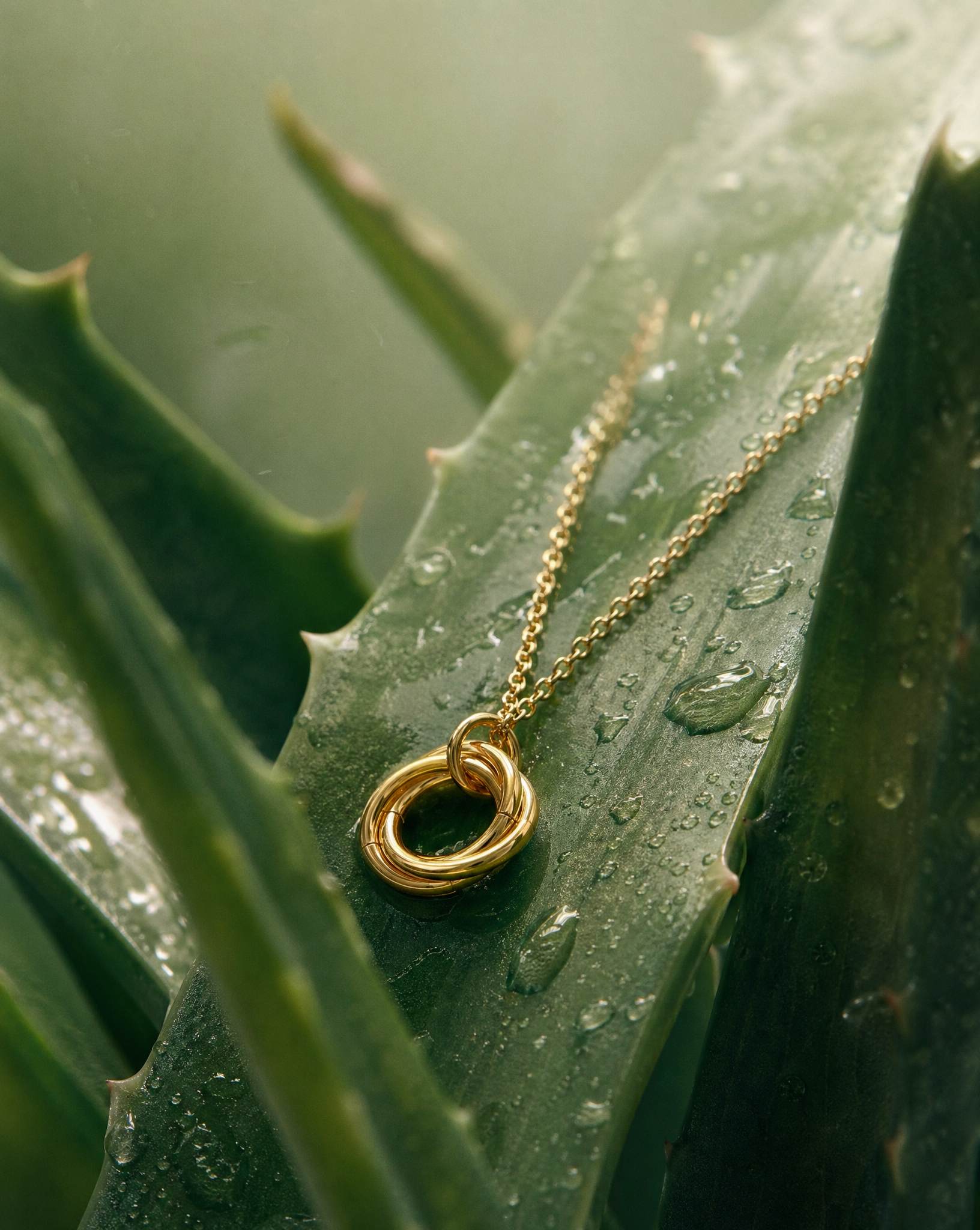 Twisted Harmony Necklace