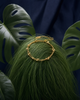 Golden Orbit Bracelet